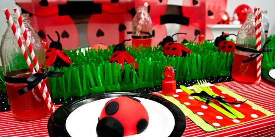 Ladybug Birthday Party Ideas
