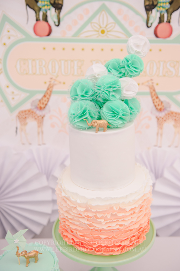 Peach Mint Circus Party cake
