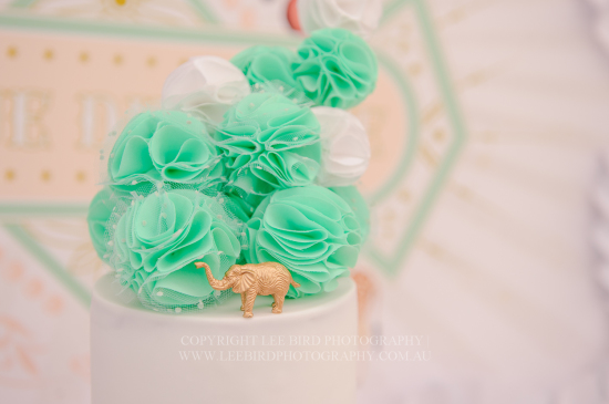 Peach Mint Circus Party cake topper