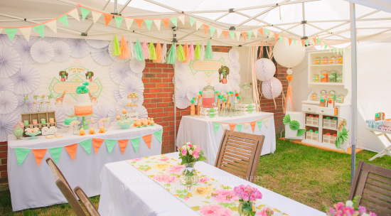 Peach Mint Circus Party room