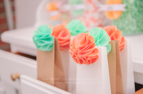 party bags in peach and mint pom poms