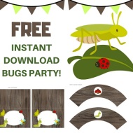 Free Bugs Party