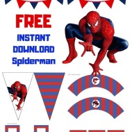 Free Spiderman Party Package Printable