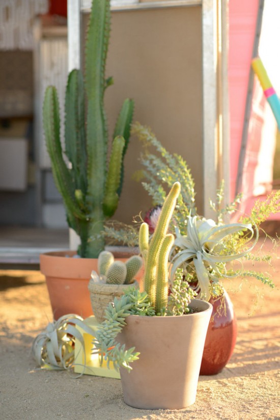 Outdoor-Vintage-Pink-Camper-Birthday-Party-Cactus