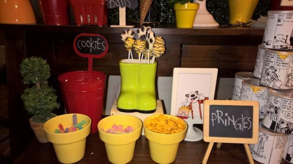 Calvin-And-Hobbes-Birthday-Party-Pot-Snack-Holders