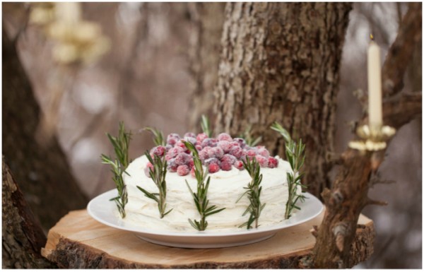 Winter-Wonderland-In-New-England-Party-Cake