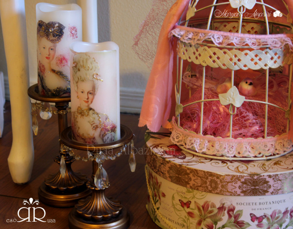 Marie-Antoinette-Vintage-Birthday-Party-Bird-Cage