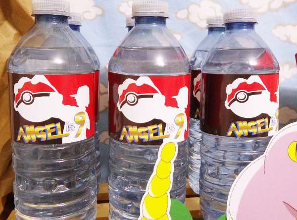 Pokemon-Adventure-Party-Labelled-Water