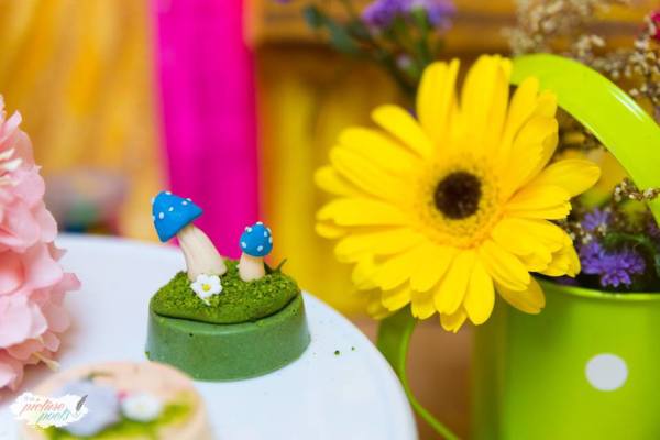Magical-Fairy-Garden-Oasis-Birthday-Mini-Toadstools