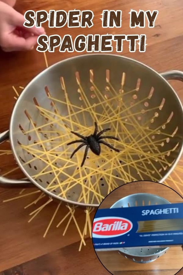 Halloween Spider in My Spaghetti Game