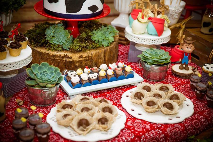 Farm-Adventure-Birthday-Party-Cakepops