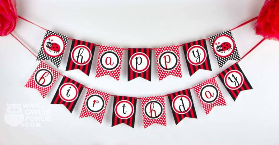Ladybug-Spots-and-Stripes-Birthday-Party-Banner