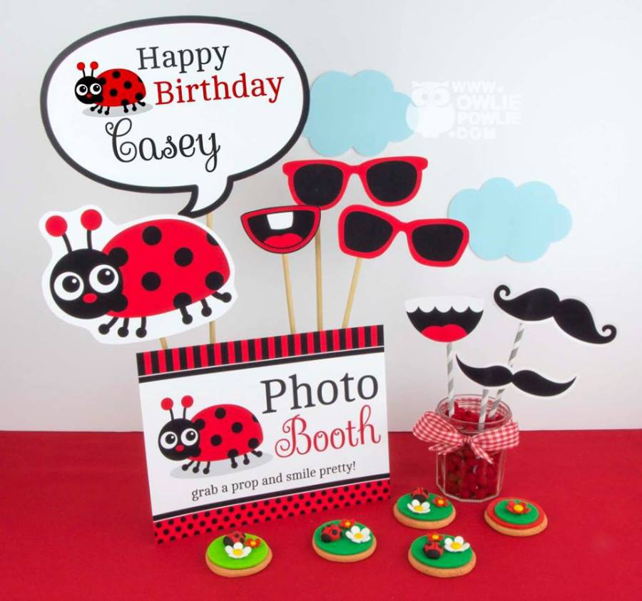 Ladybug-Spots-and-Stripes-Birthday-Party-Dress-Up