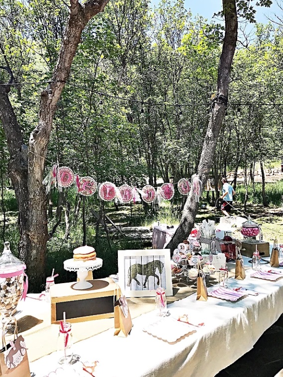 pink and brown horse party table for guests