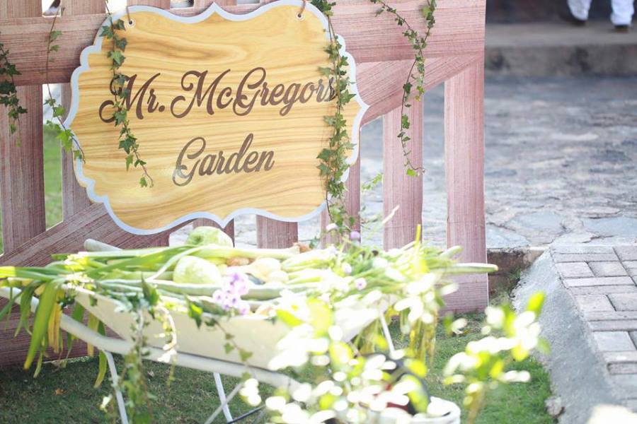 Classic-Peter-Rabbit-Birthday-McGregors-Garden