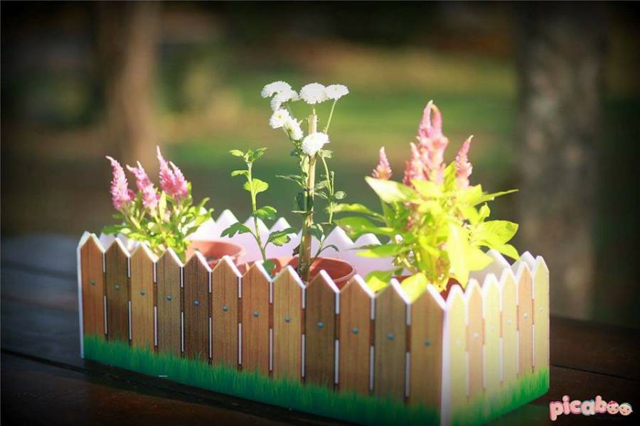 Classic-Peter-Rabbit-Birthday-Mini-Garden