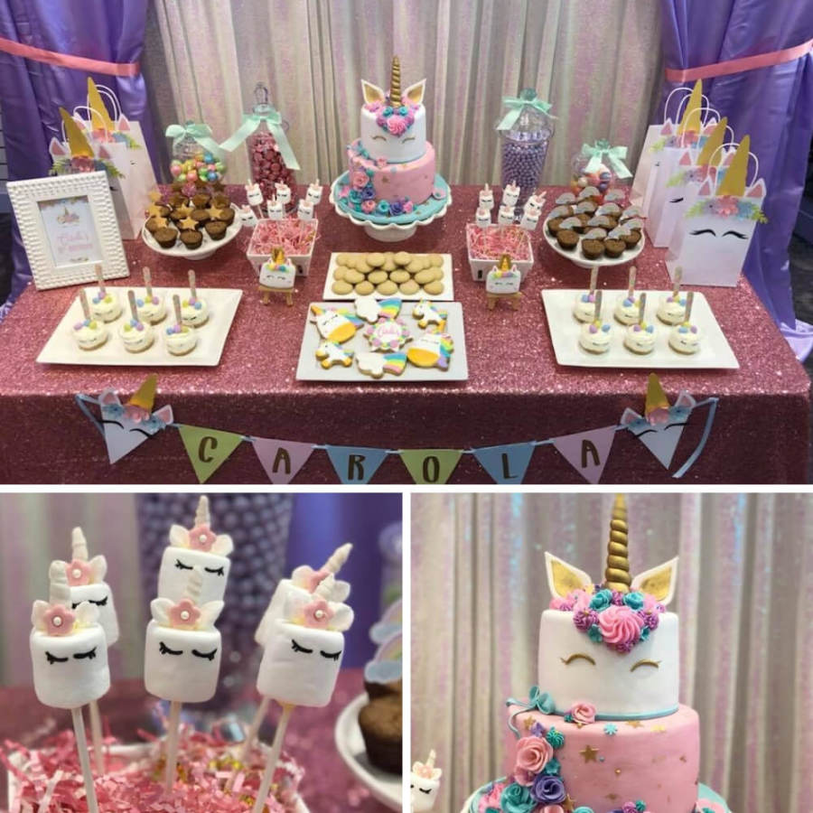 Unicorn Party (1)