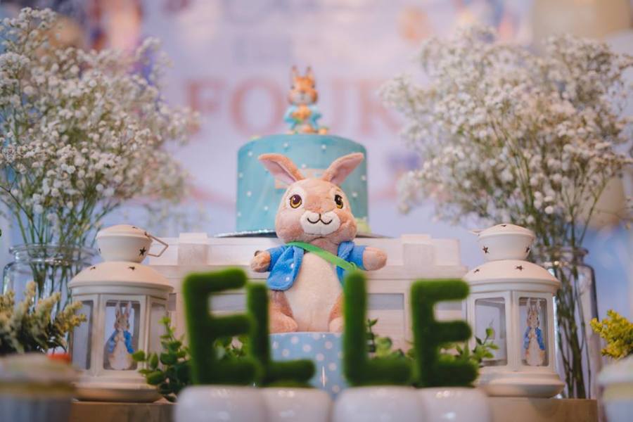Whimsical-Peter-Rabbit-Birthday-Stuffed-Animal
