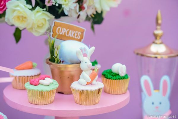 bunny holding carrot cupcakes