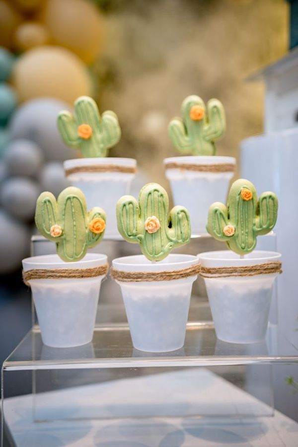 cactus in pot cookie