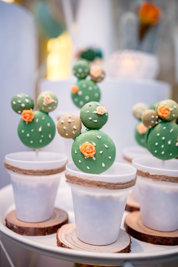 cactus macaroon treats