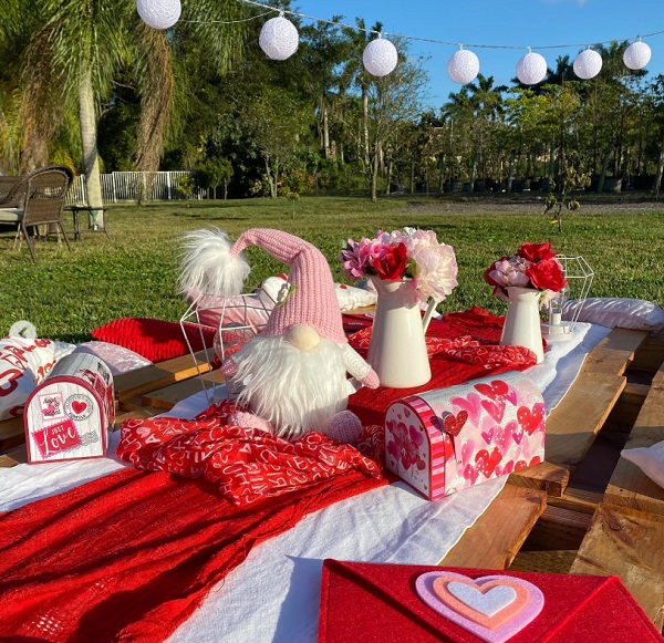 valentines picnic party for kids