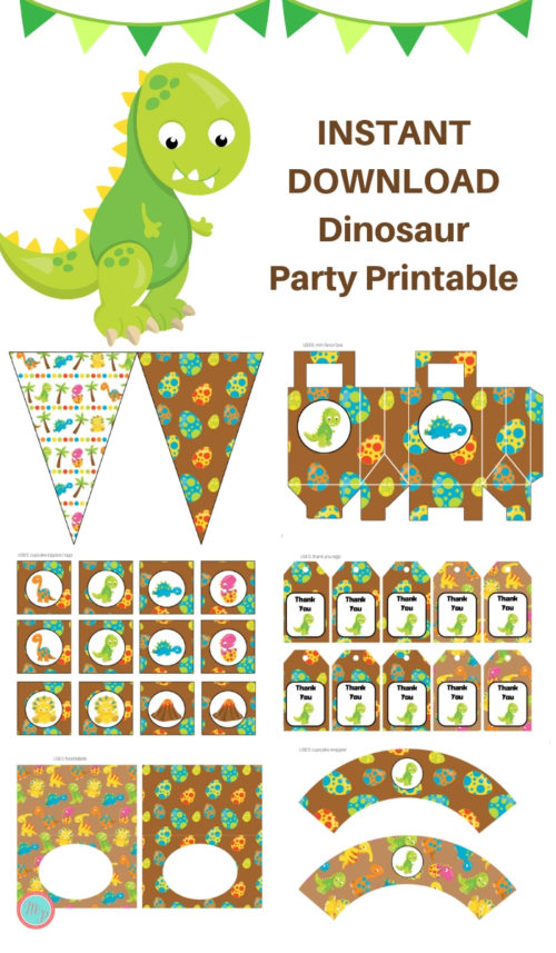 Dinosaur Party Printable
