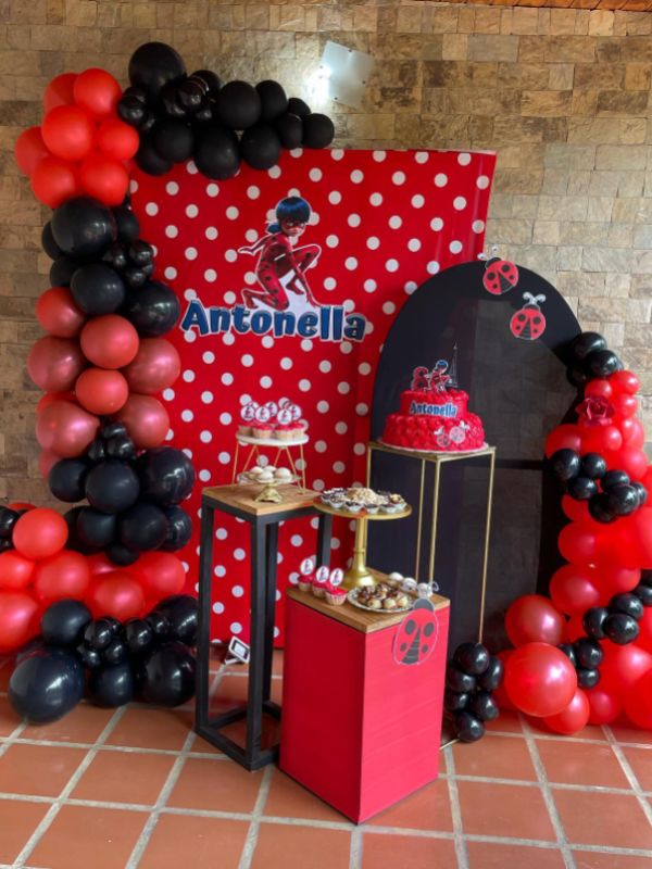 Miraculous Ladybug party