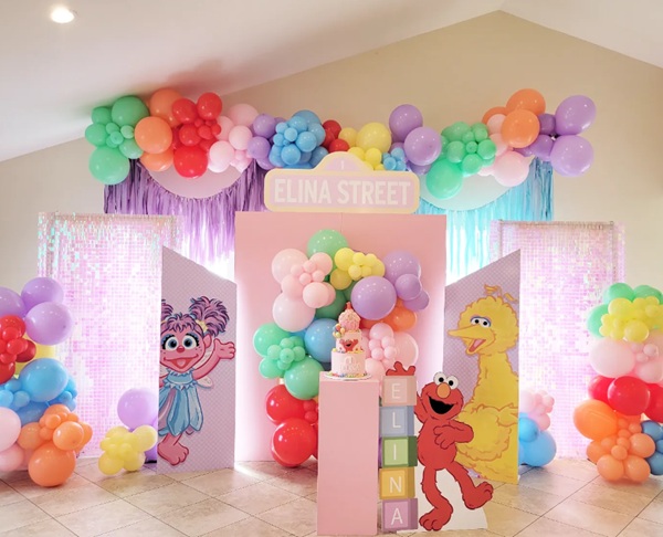 girly sesame street party