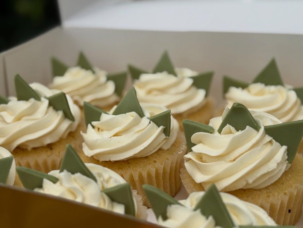 Cute little dinosaur vanilla and chocolate cupcakes