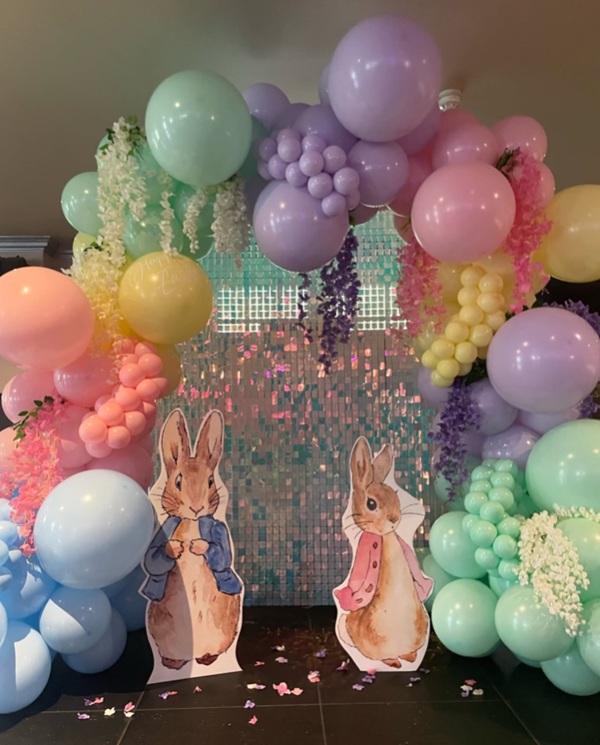peter rabbit party props