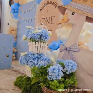 one silly goose first birthday