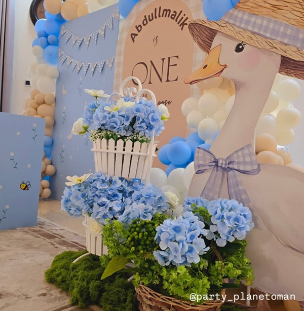 one silly goose first birthday