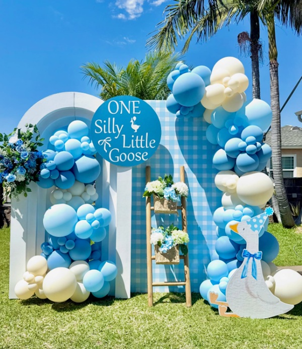 one silly goose party decors