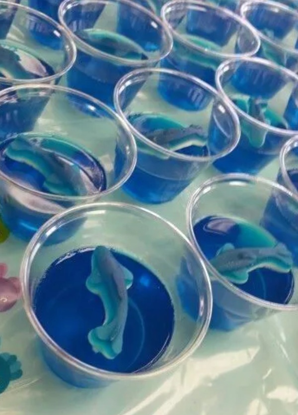 shark jelly cups
