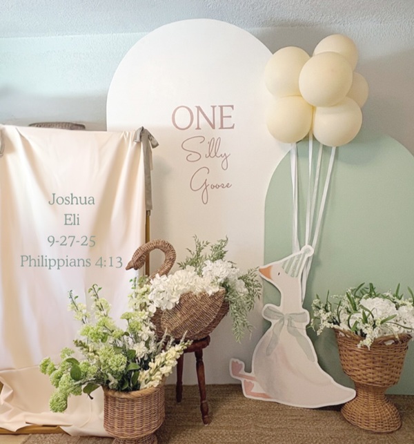 sweet neutral one silly goose party decorations