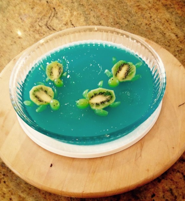 swimming turtle in jelly