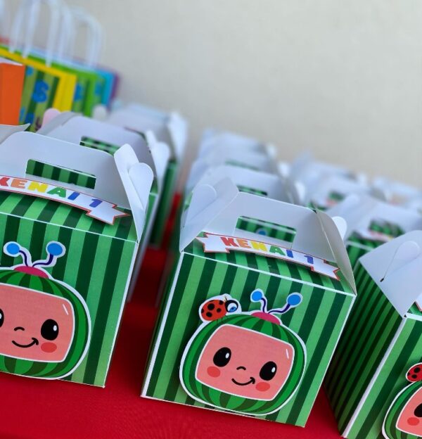 CocoMelon Themed Birthday Party boxes